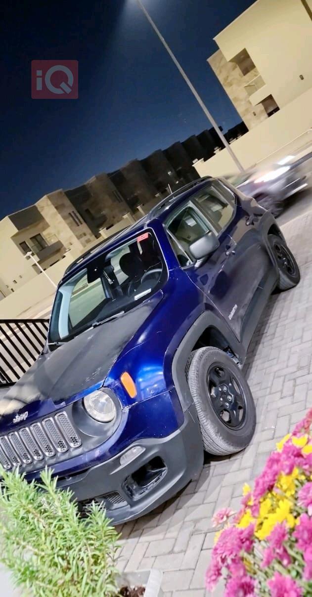جيب رينيجيد